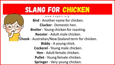 chicken traducción|chicken slang in spanish.